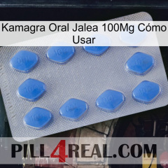 Kamagra Oral Jalea 100Mg Cómo Usar 21